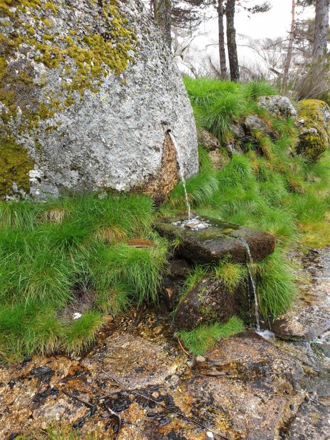 Casa Dos Cisnes - Serra Da Estrela - Sao Paio - Gouveia - Portugal Zewnętrze zdjęcie